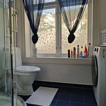 Apartment Ocean View, Central, Rustic Alesund